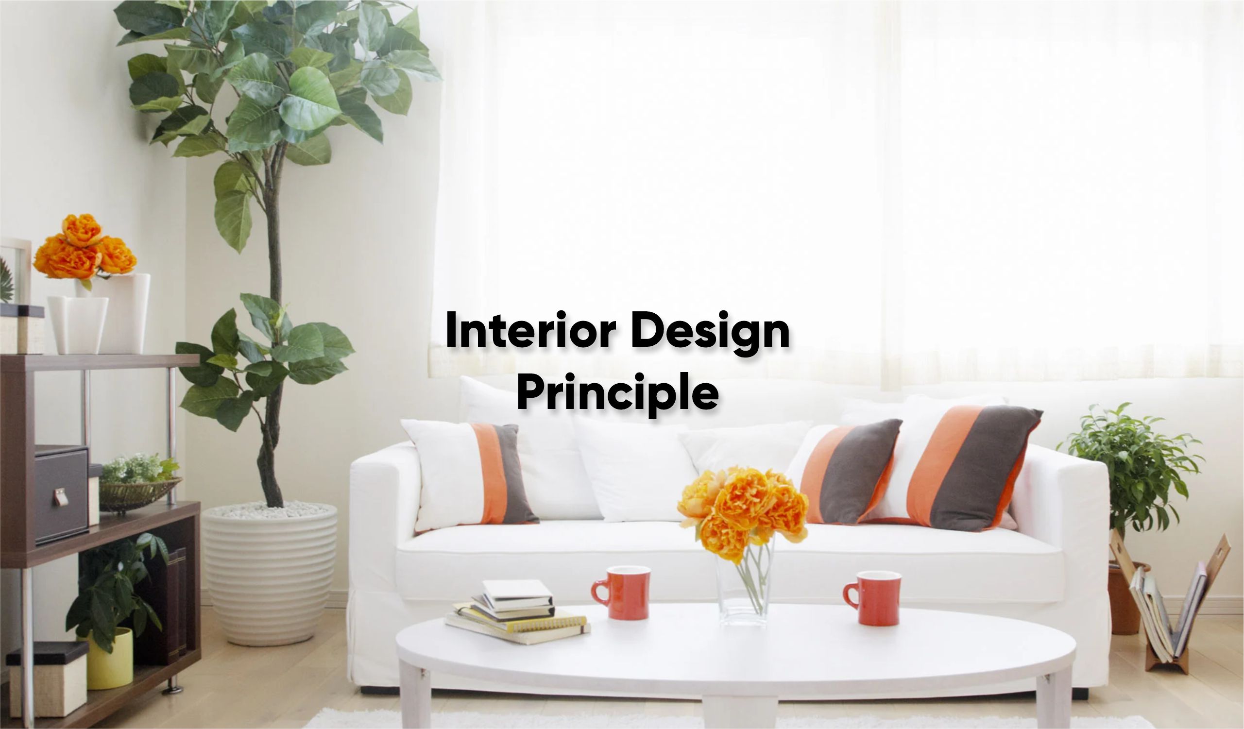 Interior Design Principle 